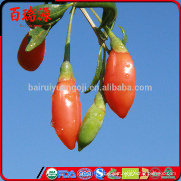 Goji produto goji berries goji berry vai anti-rugas